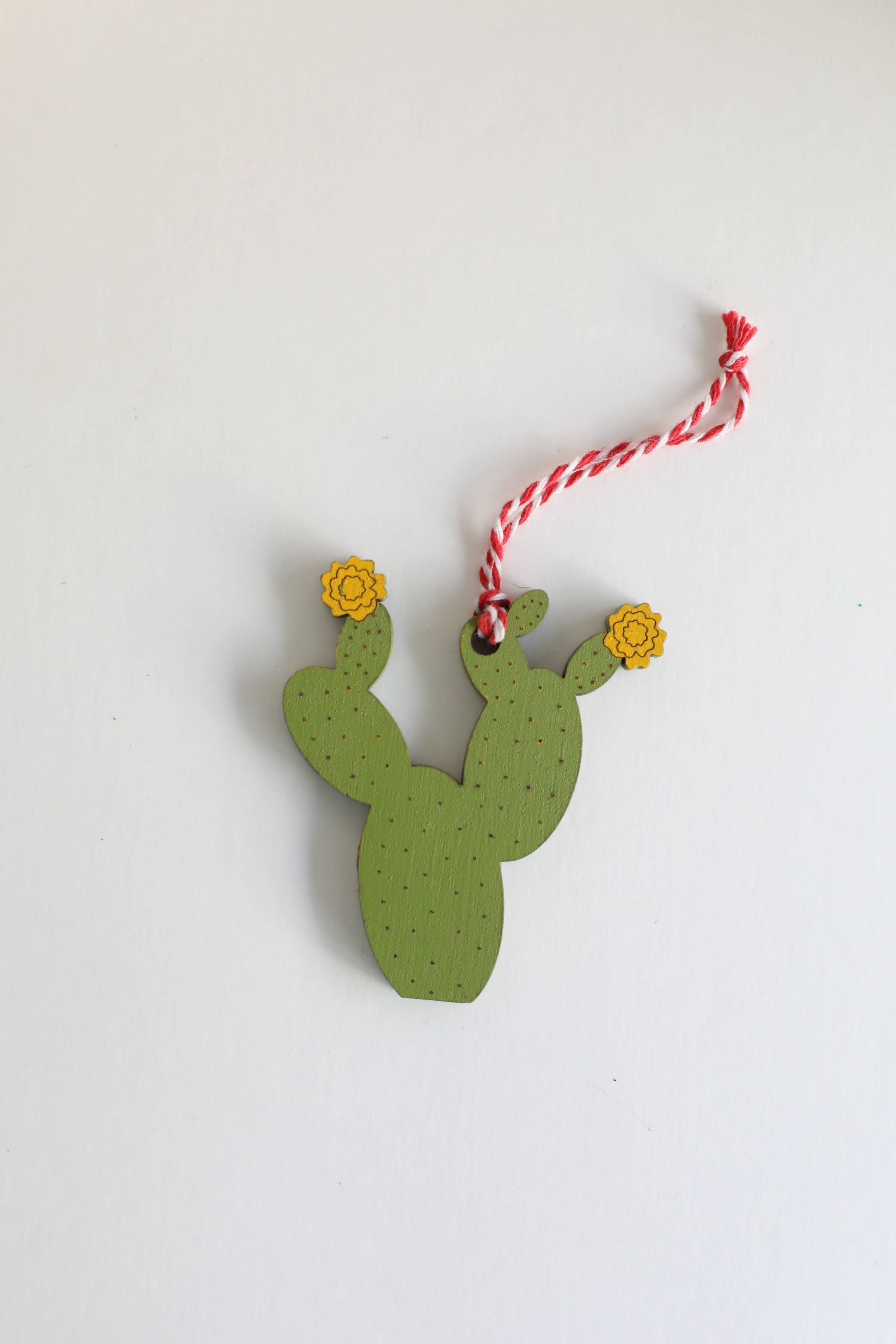 Ornaments | Wooden Prickly Pear